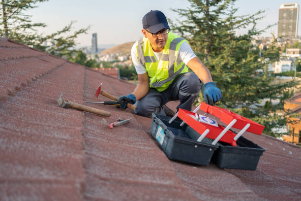 Best Yard Waste Removal  in Parker City, IN